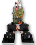 Bipedal Walking Robot - DIY Kit